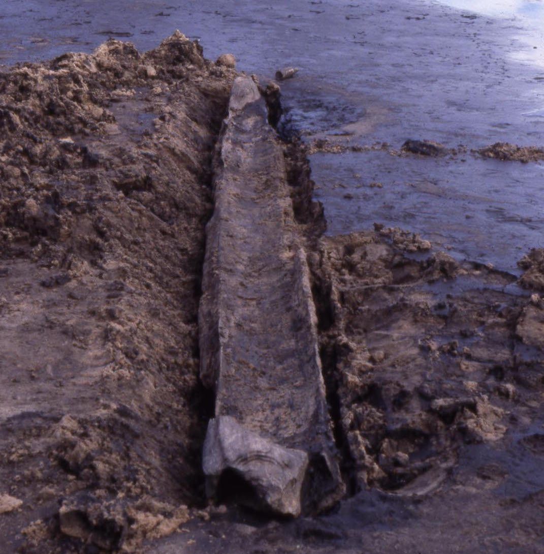 Some canoes have been worn away by time.