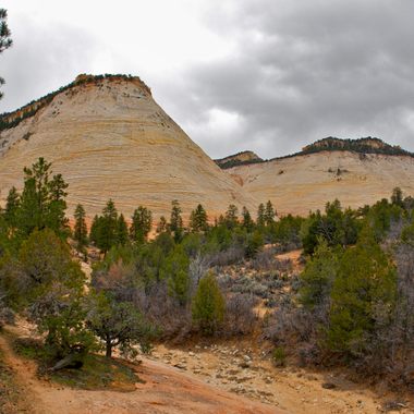 Checkerboard Mesa