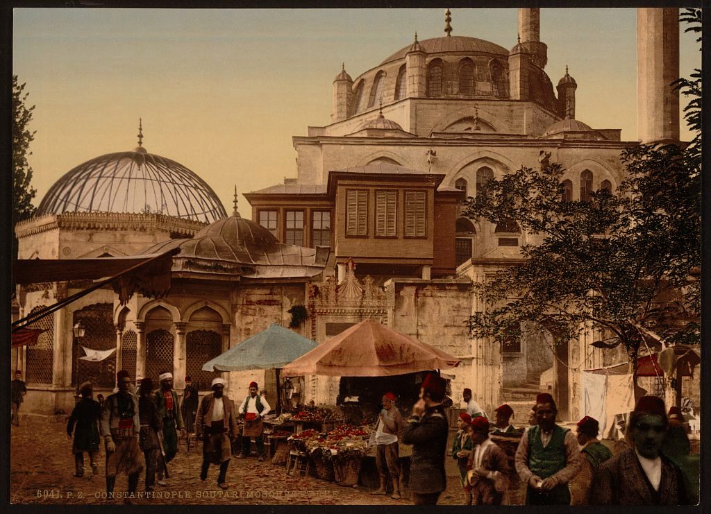 A photochrom of Istanbul in the late 19th century. 