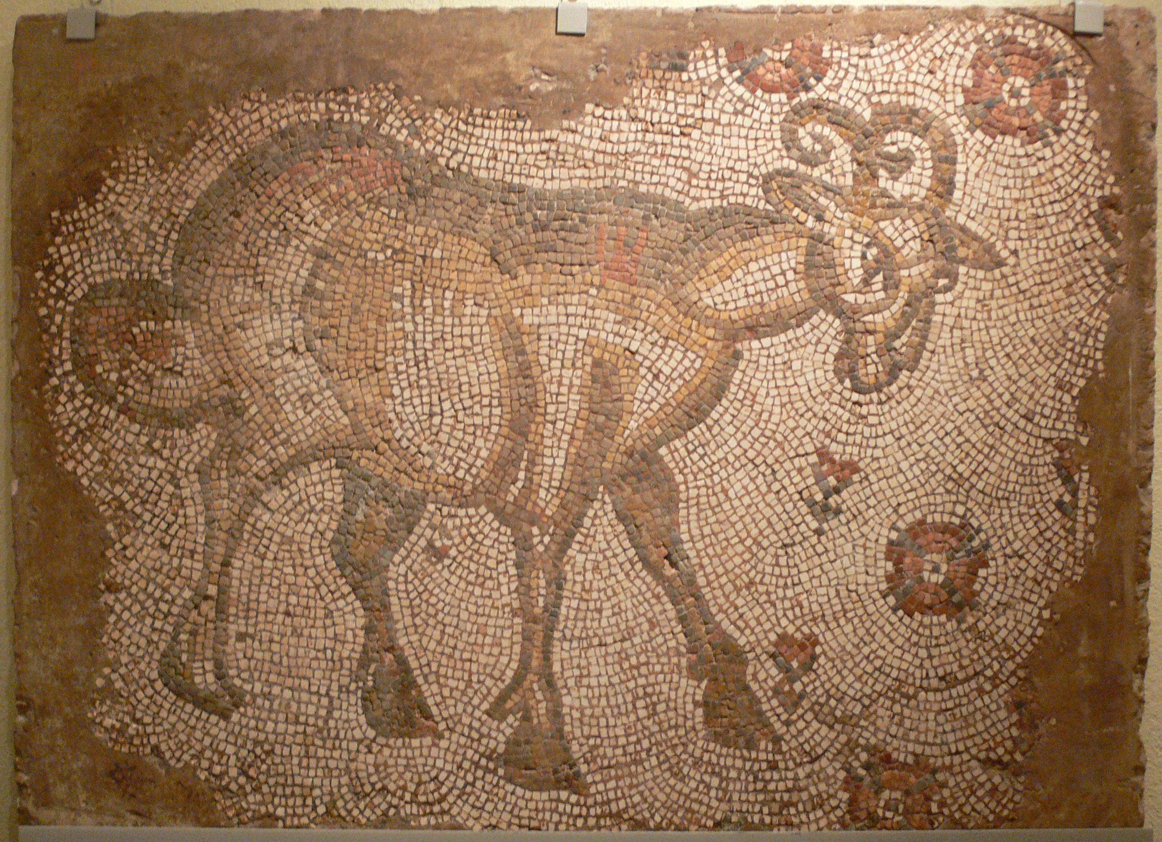 A mosaic of a fat-tailed sheep from 475 AD.