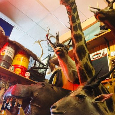 North Idaho Trading Company