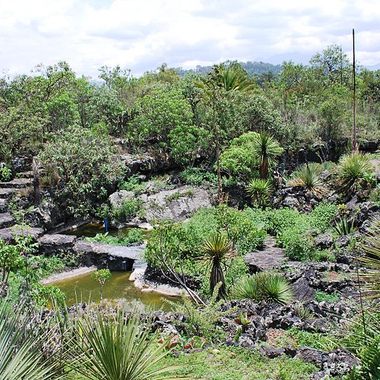 The Lava Garden, planted on volcanic rock from an ancient volcanic eruption.