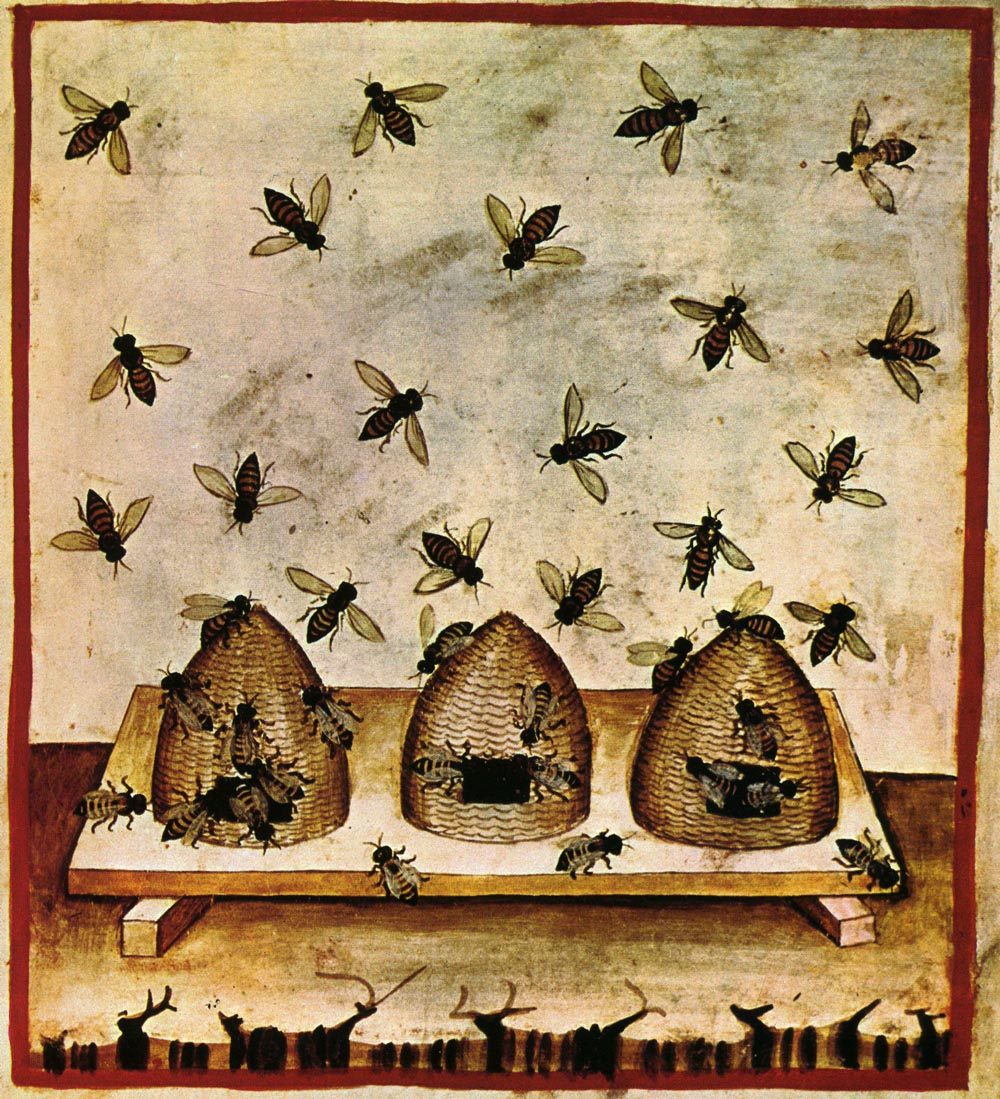 A 14th century depiction of beekeeping.
