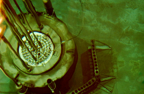 Reed Reactor