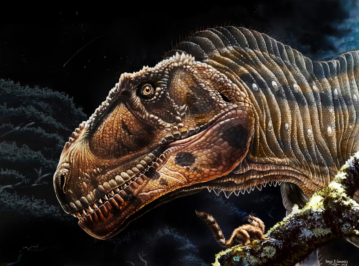 New predator 'dawn runner' discovered in early dinosaur graveyard