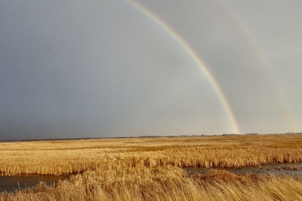 Cheyenne Bottoms.