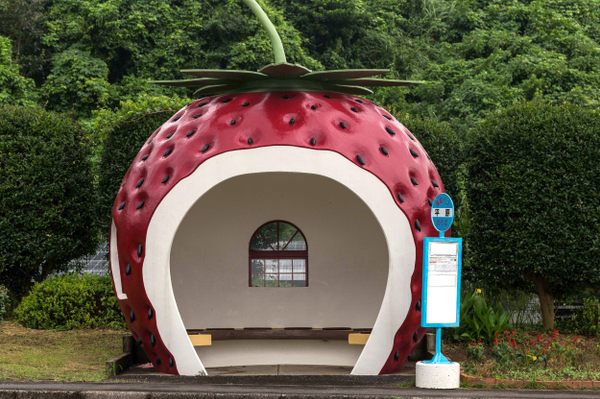 In the town of Konagai bus stops come in different flavors, including strawberry.