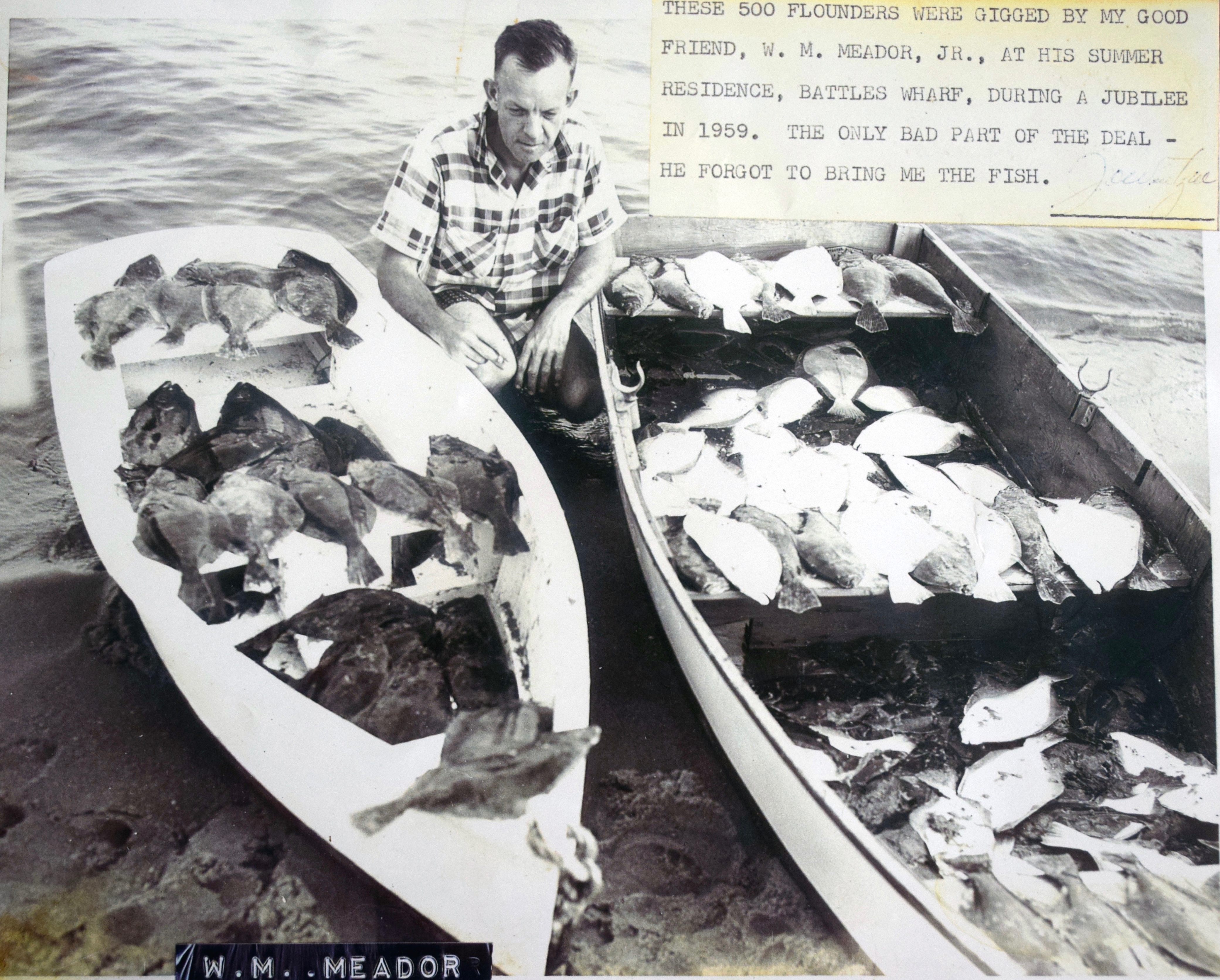 In this 1959 photo, W.M. Meador, Jr. (Jimbo Meador's brother) proves that skiffs full of flounder are not a jubilee myth.