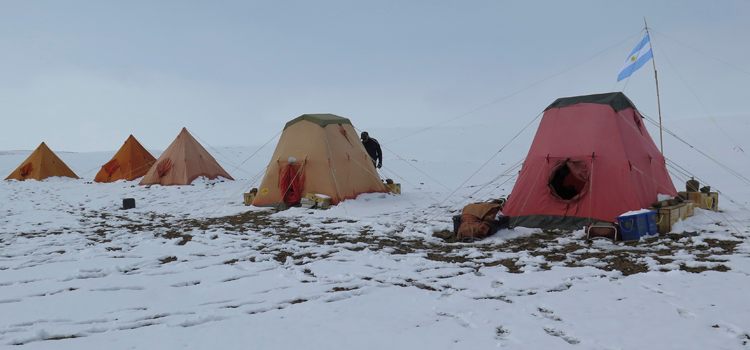 Paleontology in Antarctica. 