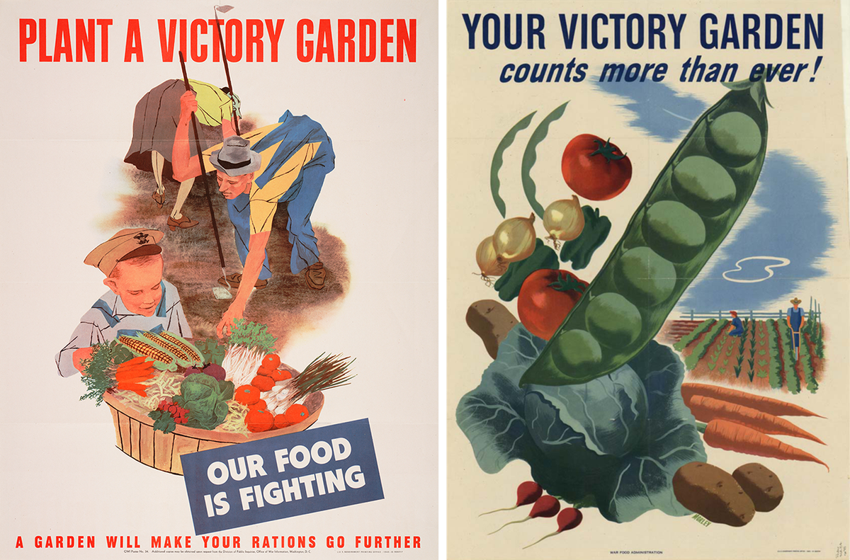 Victory Gardens