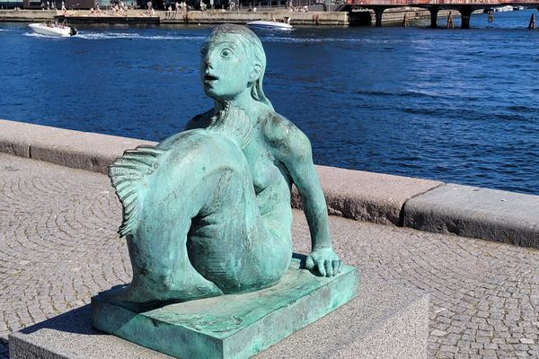 ‘Havfrue’ (‘Mermaid’)