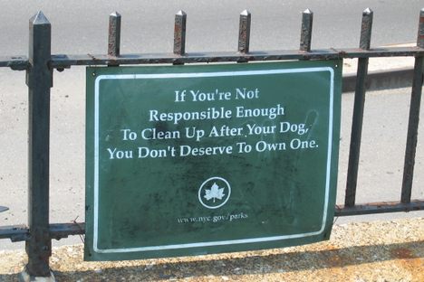 Spanish Town Creates Graphic Sculpture for Dog Owners