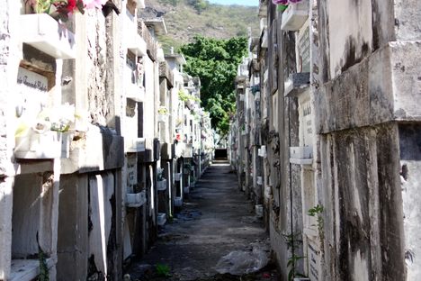 A maze of graves.