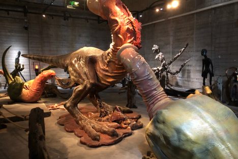 Robert Y Museum