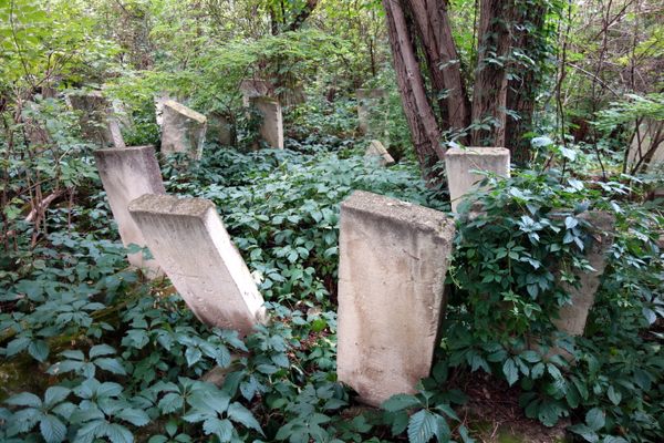 Abandoned graves.