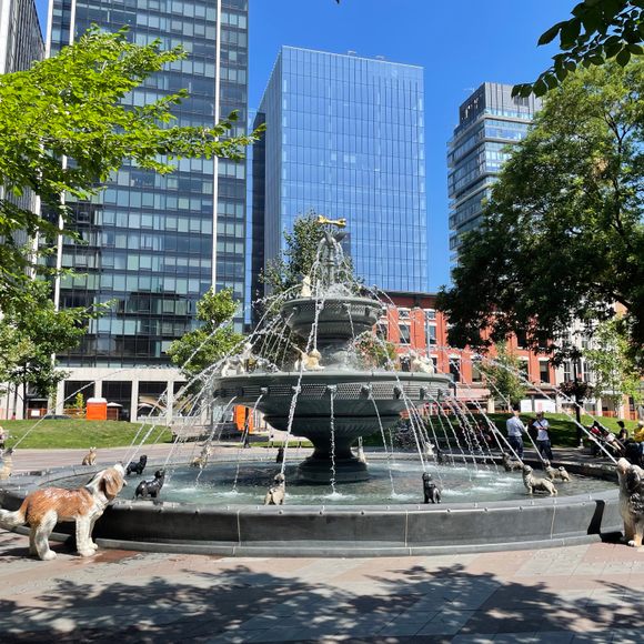 Fountain dog shop