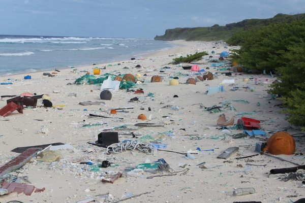 Plastic trash on Henderson Island. 