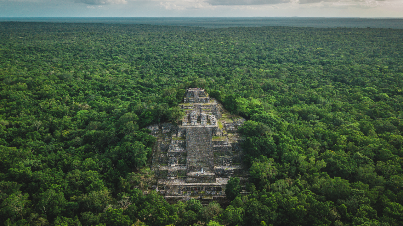 Yucatan Mexico - Calakmul