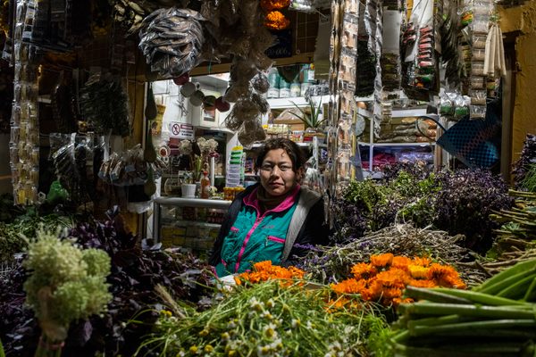 Vendor Mónica Adriana Quimbayo has sold herbs and other plants at her stall in Plaza Samper Mendoza since she was 16.