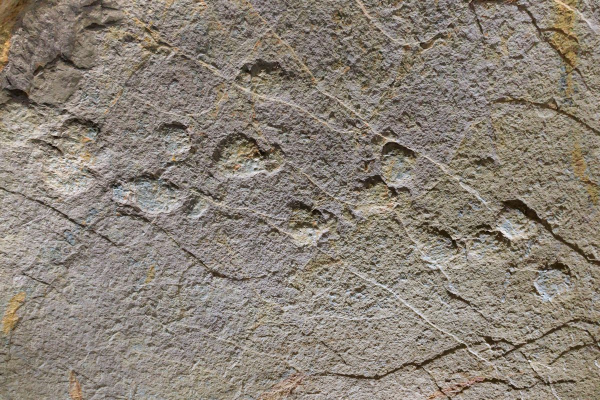 The splotchy footprints show an ancient trek along the seashore.