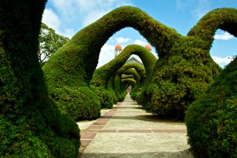 Parque Francisco Alvardoa