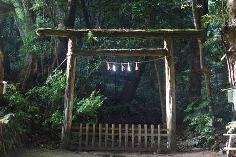 A sub-shrine at the edge of the forbidden forest.