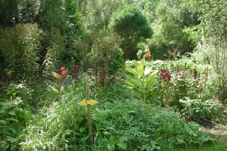 Gardenview Horticultural Park.