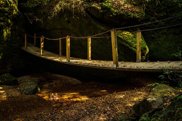 Strange Ground: Ecological Wonders of the Deep South