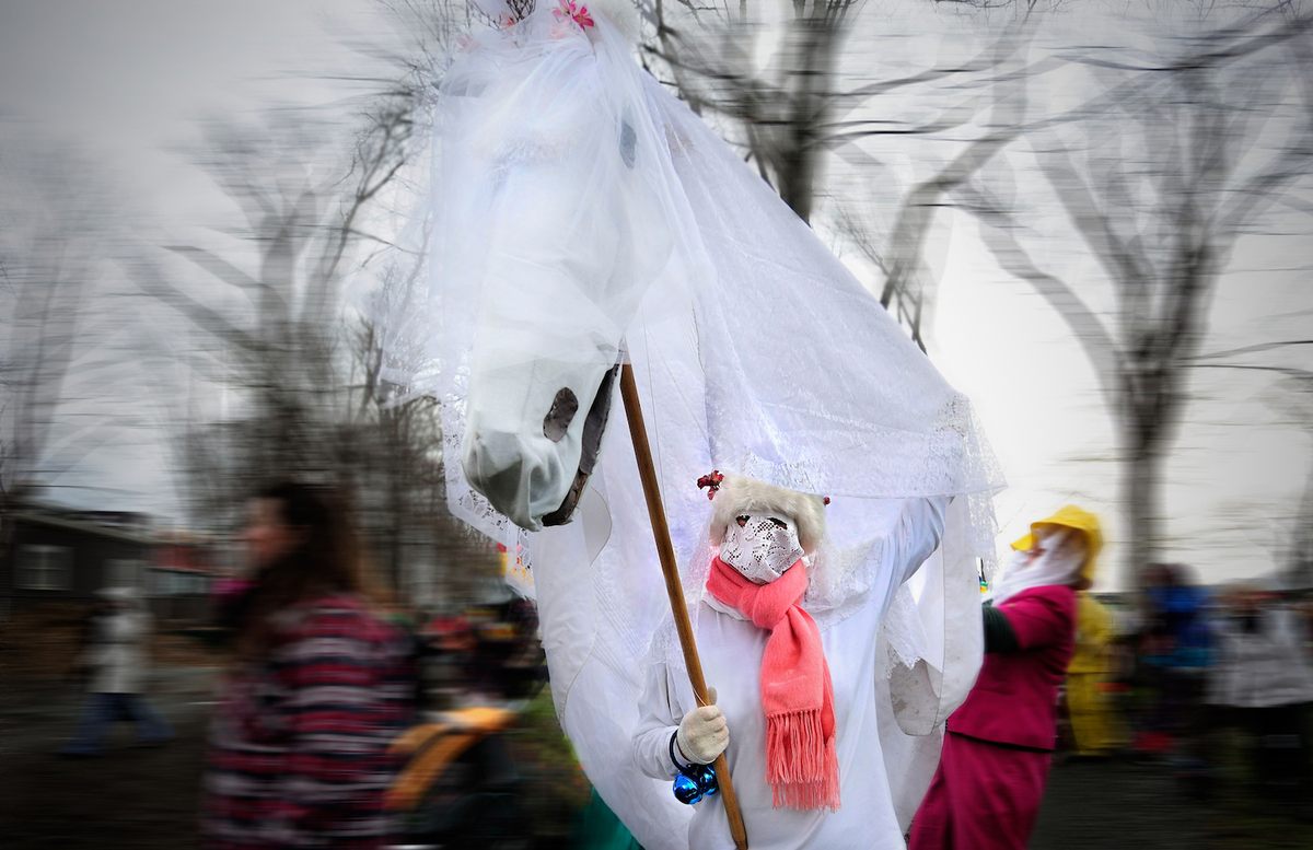 A hobby horse.