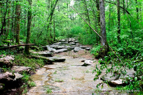 Cedars of Lebanon State Park