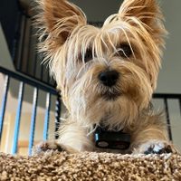 Profile image for auntiepic