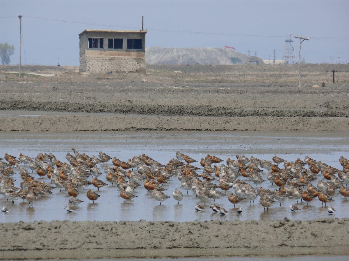 North Korea's coast remains relatively unindustrialized, with few buildings dotting the landscape.
