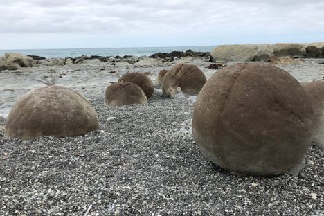 Dolomite Concretions.