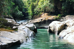 The serene, emerald waters of Rio Güejar.