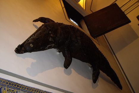 Dragón del Patriarca