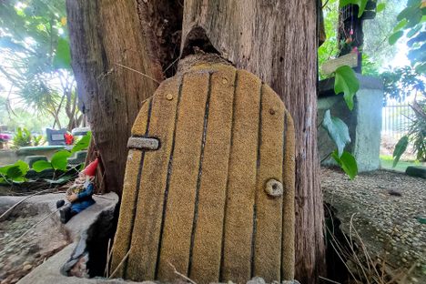 Grandad's Magical Wonderland