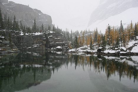 Some of the Oldest Fossils on Earth in Yoho National Park