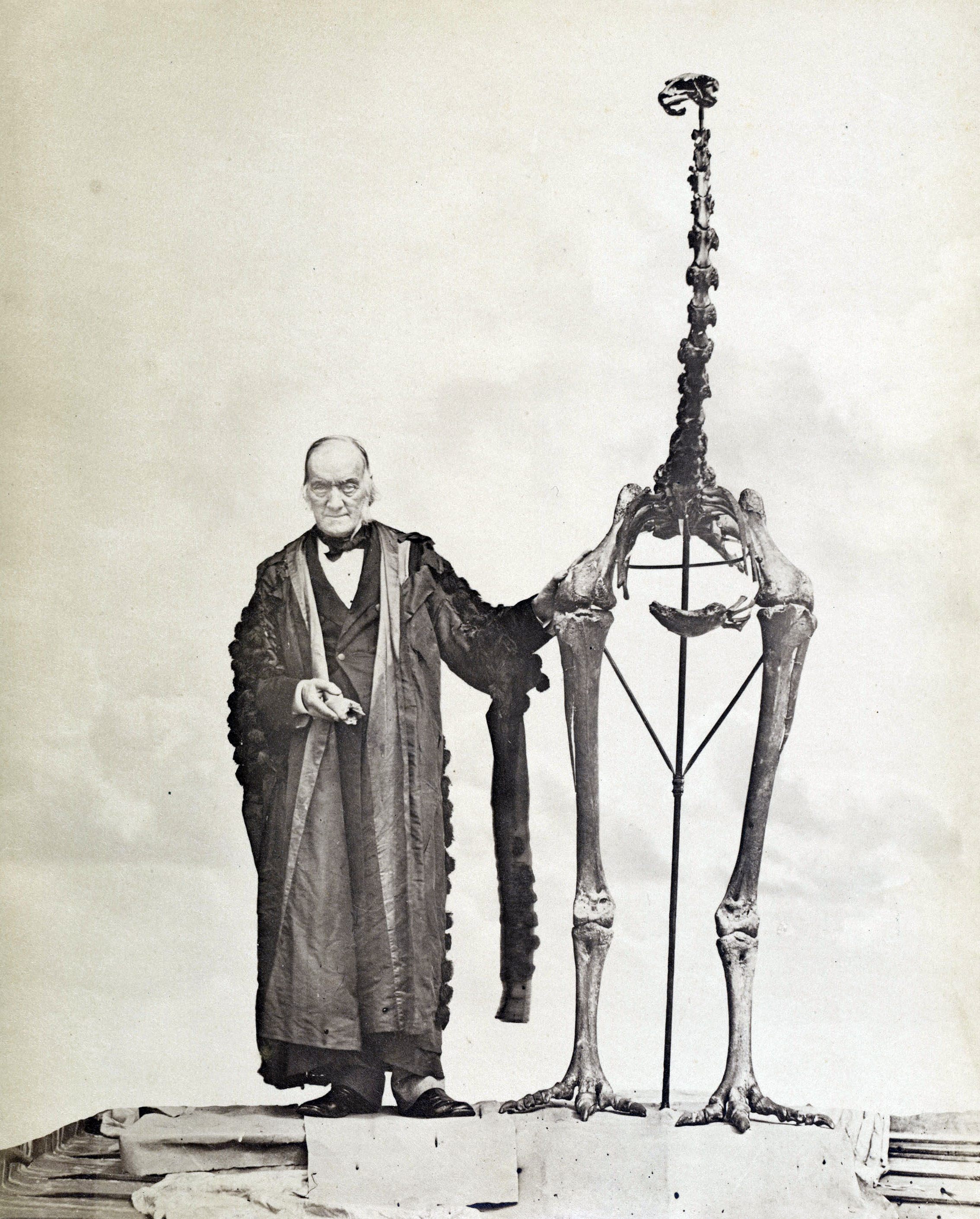 British naturalist Richard Owen poses with a moa skeleton.