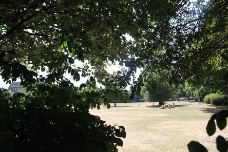 Weavers Field