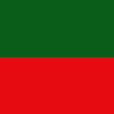 The official flag of Talossa.
