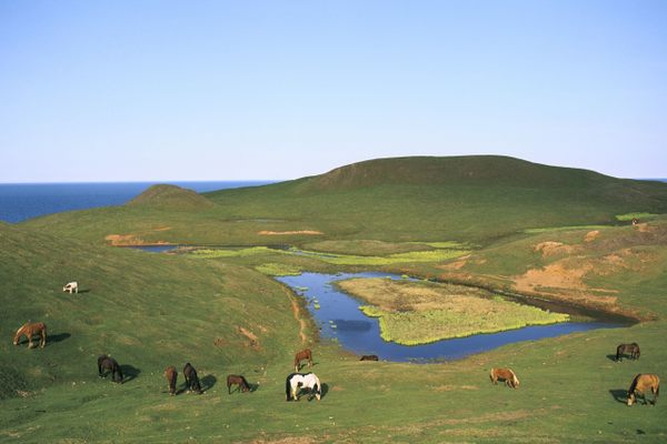 Île d’Entrée (Entry Island)