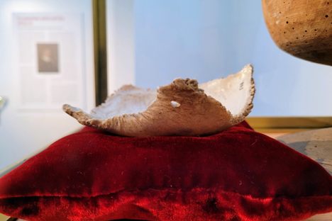 Displayed as the “Skull of Philosopher Descartes” at Lund's Historical Museum.