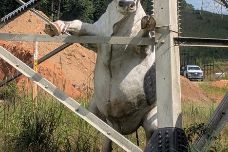 Georgia