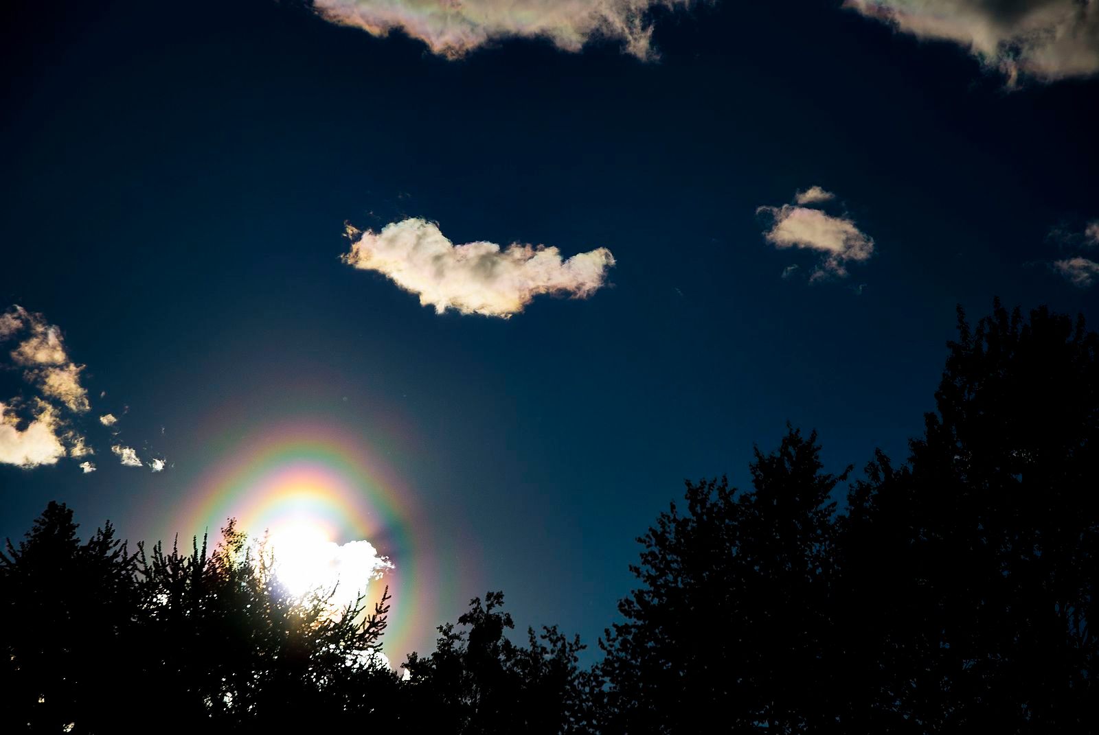 A pine pollen corona in Kuusamo, Finland.