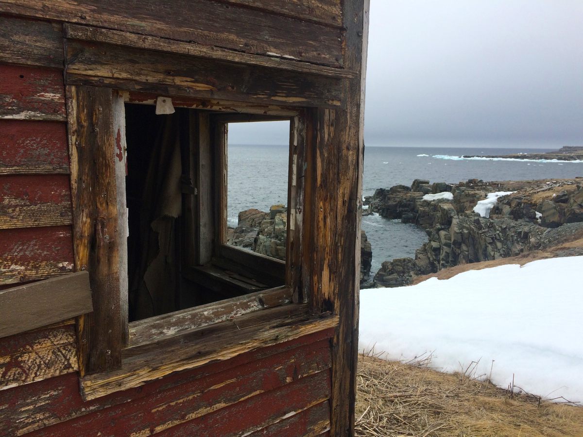 Abandoned cabin, Bonavista Bay.