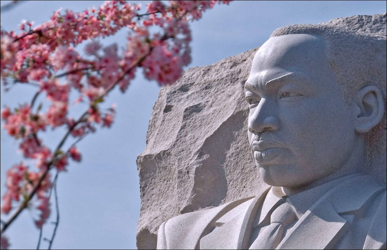 Each spring, the Martin Luther King Jr. memorial in Washington D.C is surrounded by Japanese cherry blossoms. 