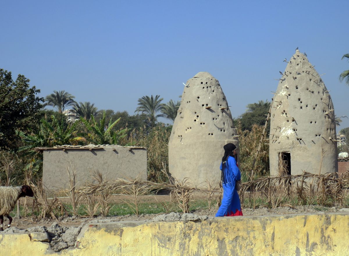 These replicas of ancient Egypt dovecotes—earthen towers built to house pigeons—recreate a time about 2,000 years ago when the birds were domesticated in the region.
