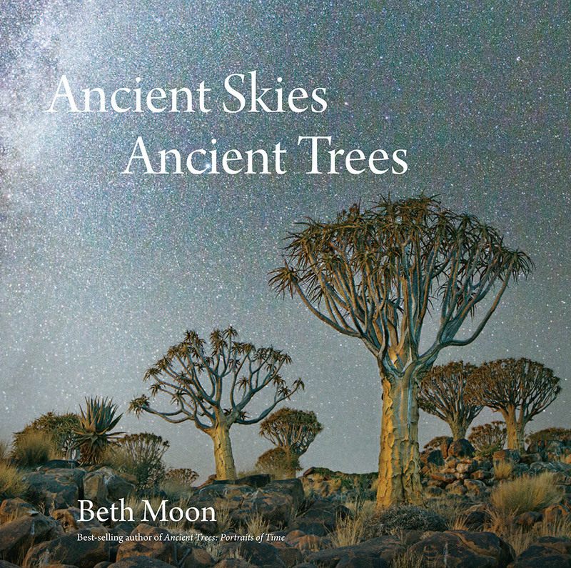 <em>Ancient Skies Ancient Trees</em>