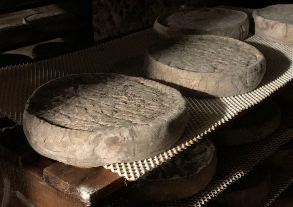 Caves once intended for wine are perfect for ripening Saint-Nectaire.