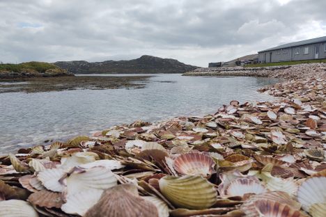 Kallin Shell Midden